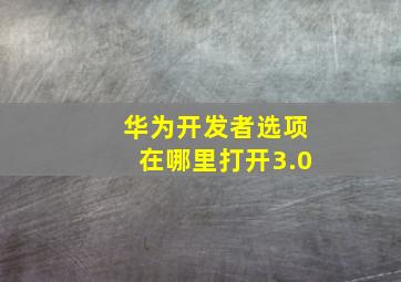 华为开发者选项在哪里打开3.0