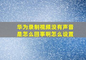 华为录制视频没有声音是怎么回事啊怎么设置