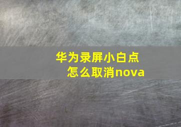 华为录屏小白点怎么取消nova