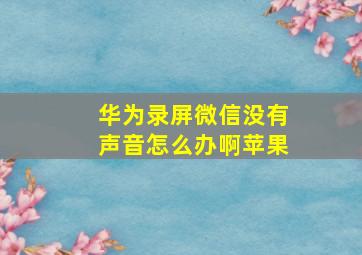 华为录屏微信没有声音怎么办啊苹果