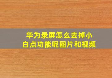 华为录屏怎么去掉小白点功能呢图片和视频