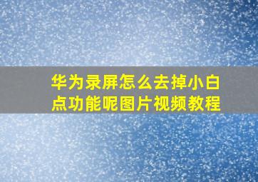 华为录屏怎么去掉小白点功能呢图片视频教程