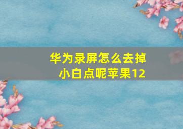 华为录屏怎么去掉小白点呢苹果12