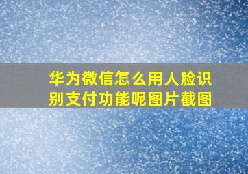 华为微信怎么用人脸识别支付功能呢图片截图