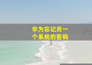 华为忘记另一个系统的密码