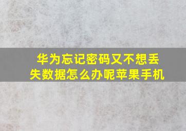 华为忘记密码又不想丢失数据怎么办呢苹果手机