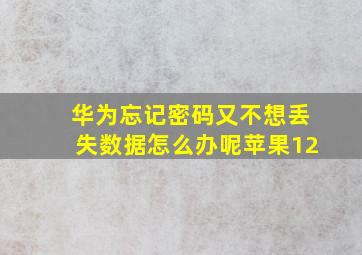 华为忘记密码又不想丢失数据怎么办呢苹果12