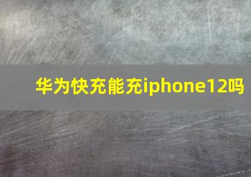 华为快充能充iphone12吗