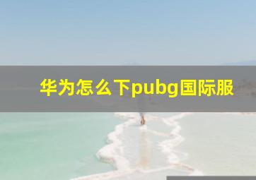 华为怎么下pubg国际服