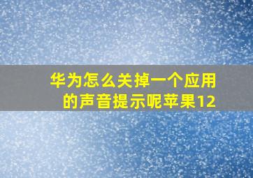 华为怎么关掉一个应用的声音提示呢苹果12