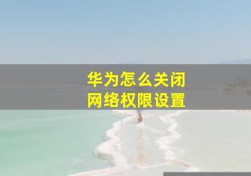 华为怎么关闭网络权限设置