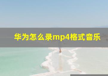 华为怎么录mp4格式音乐