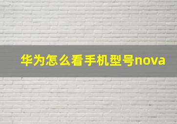 华为怎么看手机型号nova