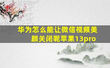 华为怎么能让微信视频美颜关闭呢苹果13pro