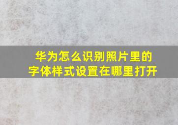 华为怎么识别照片里的字体样式设置在哪里打开