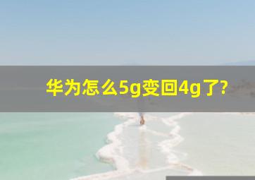 华为怎么5g变回4g了?