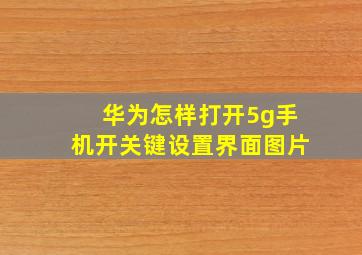 华为怎样打开5g手机开关键设置界面图片