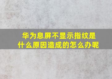 华为息屏不显示指纹是什么原因造成的怎么办呢