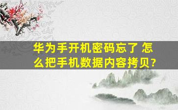 华为手开机密码忘了 怎么把手机数据内容拷贝?