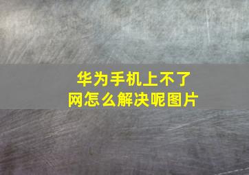 华为手机上不了网怎么解决呢图片