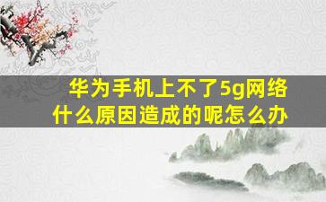 华为手机上不了5g网络什么原因造成的呢怎么办