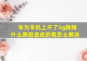 华为手机上不了5g网络什么原因造成的呢怎么解决