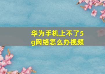 华为手机上不了5g网络怎么办视频