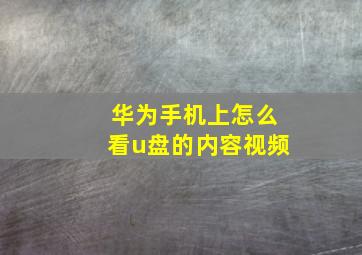 华为手机上怎么看u盘的内容视频