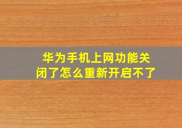 华为手机上网功能关闭了怎么重新开启不了