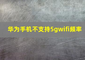 华为手机不支持5gwifi频率