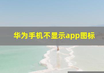 华为手机不显示app图标