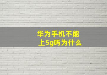 华为手机不能上5g吗为什么