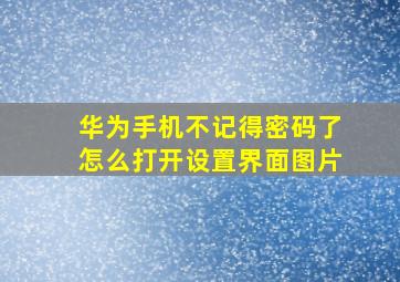 华为手机不记得密码了怎么打开设置界面图片