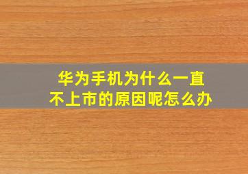 华为手机为什么一直不上市的原因呢怎么办