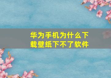 华为手机为什么下载壁纸下不了软件