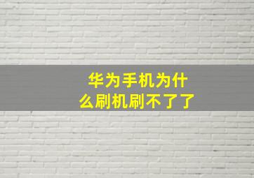 华为手机为什么刷机刷不了了