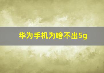 华为手机为啥不出5g