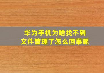 华为手机为啥找不到文件管理了怎么回事呢