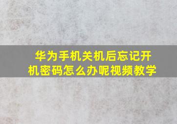 华为手机关机后忘记开机密码怎么办呢视频教学