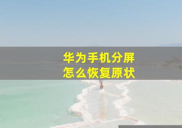 华为手机分屏怎么恢复原状