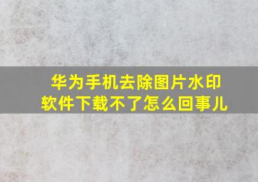 华为手机去除图片水印软件下载不了怎么回事儿