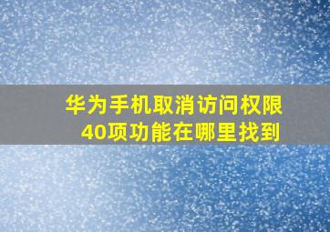 华为手机取消访问权限40项功能在哪里找到