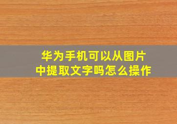 华为手机可以从图片中提取文字吗怎么操作