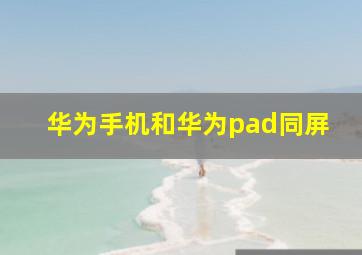 华为手机和华为pad同屏