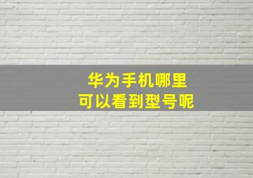 华为手机哪里可以看到型号呢