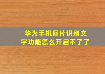 华为手机图片识别文字功能怎么开启不了了