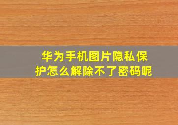 华为手机图片隐私保护怎么解除不了密码呢