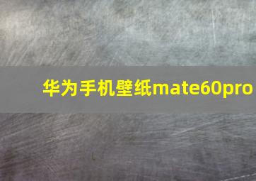 华为手机壁纸mate60pro