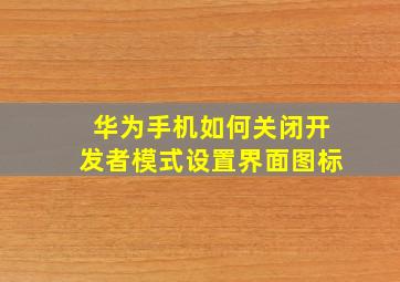 华为手机如何关闭开发者模式设置界面图标