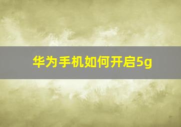 华为手机如何开启5g